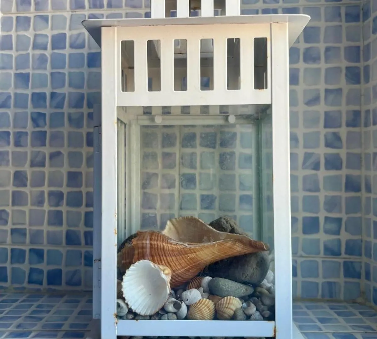 Appartamento Domus Casa Vacanze Napoli Italia
